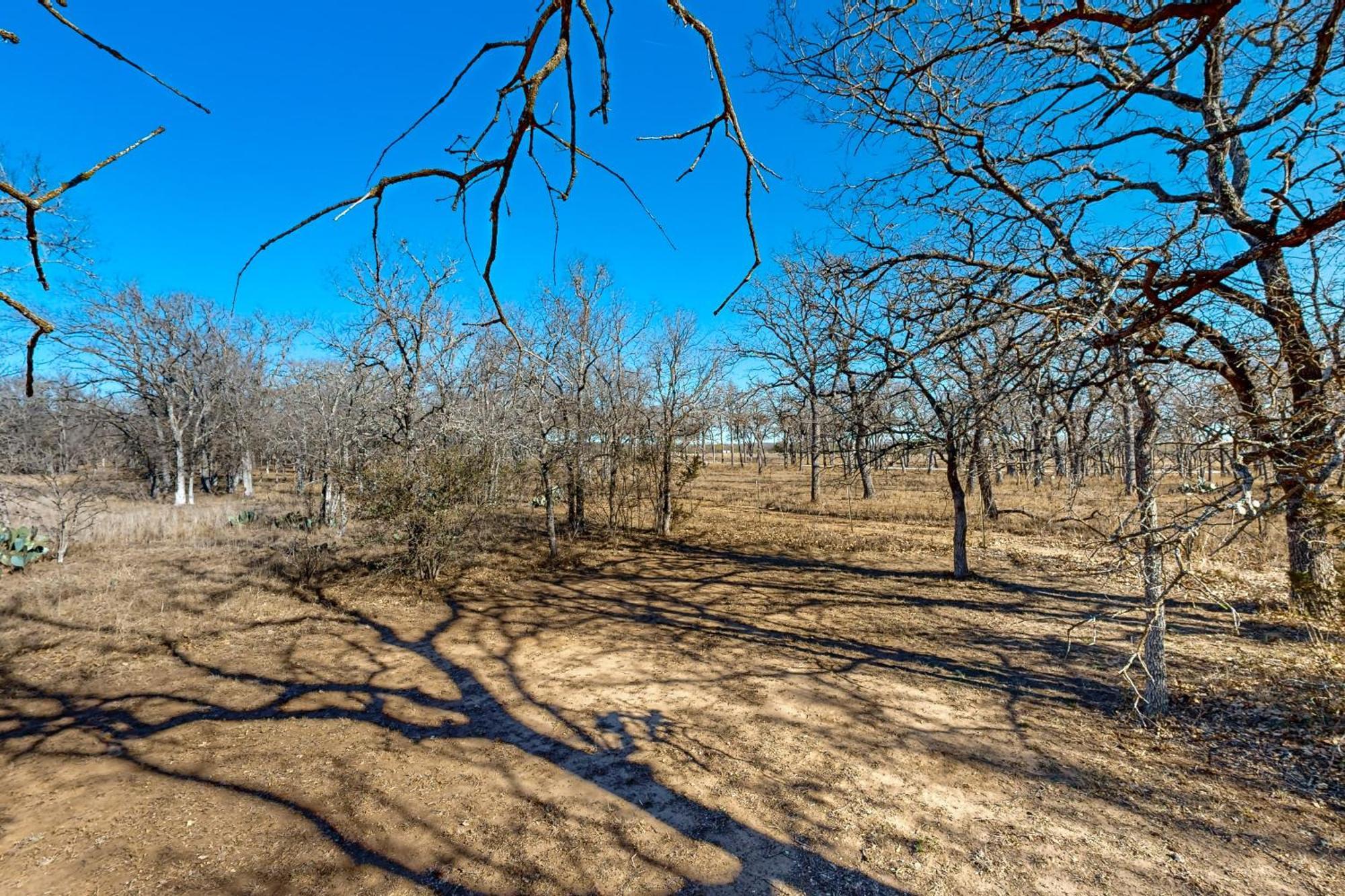 Вилла Messina Hof Hill Country Blumenthal Номер фото